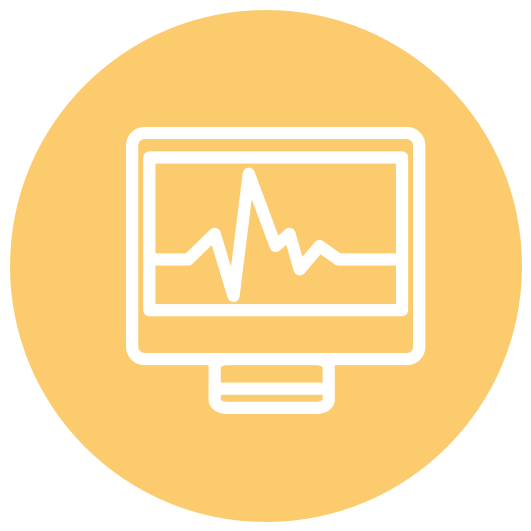 Desktop and server systems icon